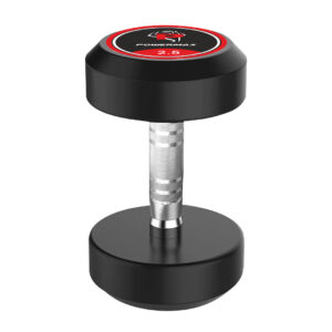 DRR-02.5 2.5KG Rounded Rubber Dumbbell